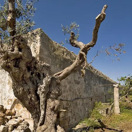 Casa di campagna Masseria Spina *