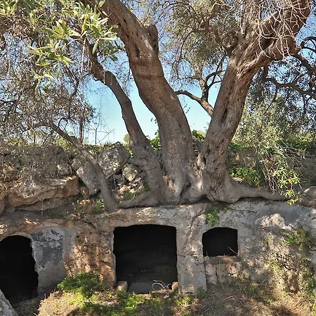 Casa di campagna Masseria Spina *